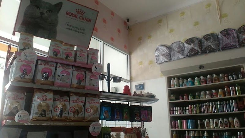 MIKO Petshop: Tempat Terbaik untuk Hewan Peliharaan di Cilacap